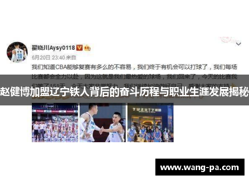 赵健博加盟辽宁铁人背后的奋斗历程与职业生涯发展揭秘