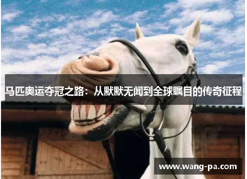 马匹奥运夺冠之路:从默默无闻到全球瞩目的传奇征程 马匹奥运夺冠之路:从默默无闻到全球瞩目的传奇征程