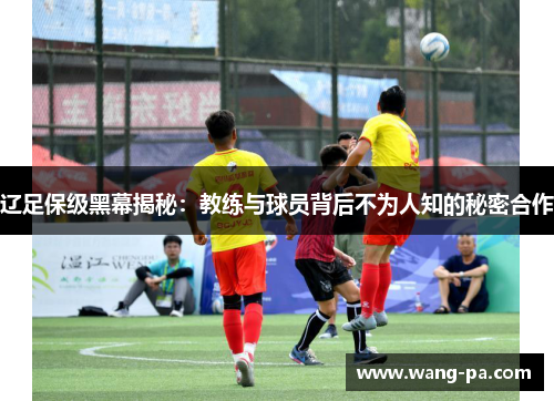 辽足保级黑幕揭秘:教练与球员背后不为人知的秘密合作 辽足保级黑幕揭秘:教练与球员背后不为人知的秘密合作