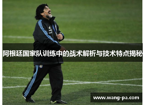阿根廷国家队训练中的战术解析与技术特点揭秘