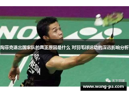 陶菲克退出国家队的真正原因是什么 对羽毛球运动的深远影响分析