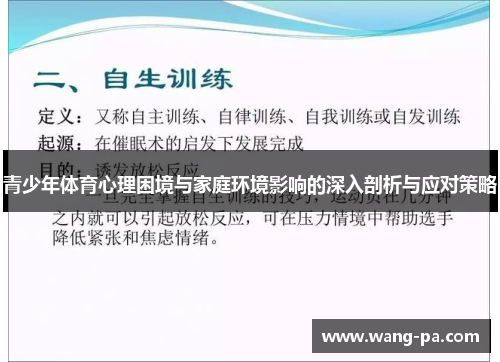 青少年体育心理困境与家庭环境影响的深入剖析与应对策略