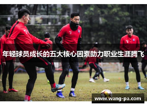 年轻球员成长的五大核心因素助力职业生涯腾飞