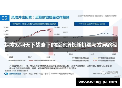 探索双羽天下战略下的经济增长新机遇与发展路径