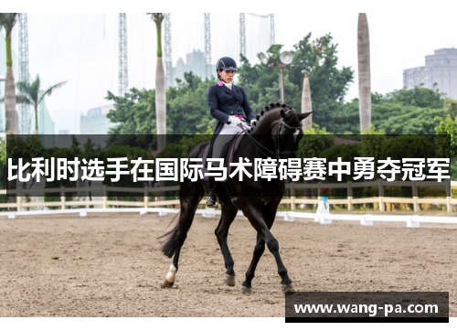 比利时选手在国际马术障碍赛中勇夺冠军