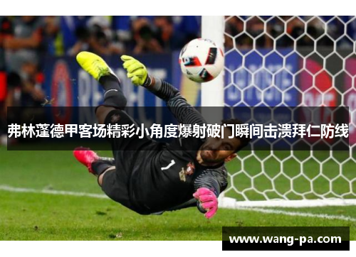 弗林蓬德甲客场精彩小角度爆射破门瞬间击溃拜仁防线