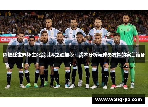 阿根廷世界杯生死战制胜之道揭秘：战术分析与球员发挥的完美结合