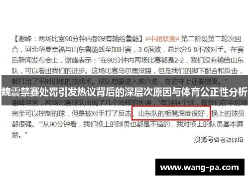 魏震禁赛处罚引发热议背后的深层次原因与体育公正性分析 魏震禁赛处罚引发热议背后的深层次原因与体育公正性分析