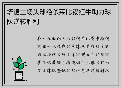 塔德主场头球绝杀莱比锡红牛助力球队逆转胜利