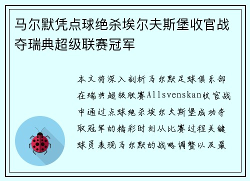 马尔默凭点球绝杀埃尔夫斯堡收官战夺瑞典超级联赛冠军